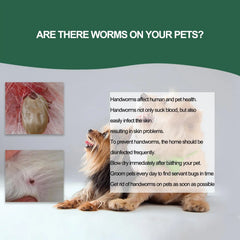 Tweezers Mite Anti Dog Ticks and Fleas Flea Tick Tweezers Clip Remover Rabbit Flea Removing Ticks Tool Hair Groom Pet Supplies
