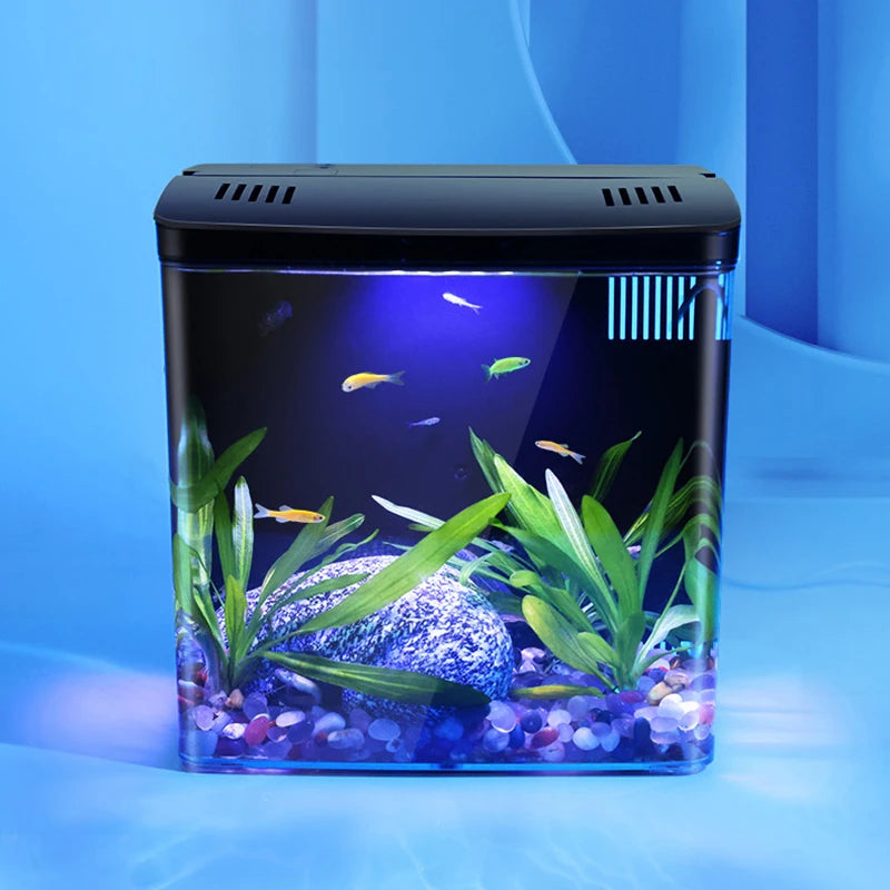 Mini Fish tank