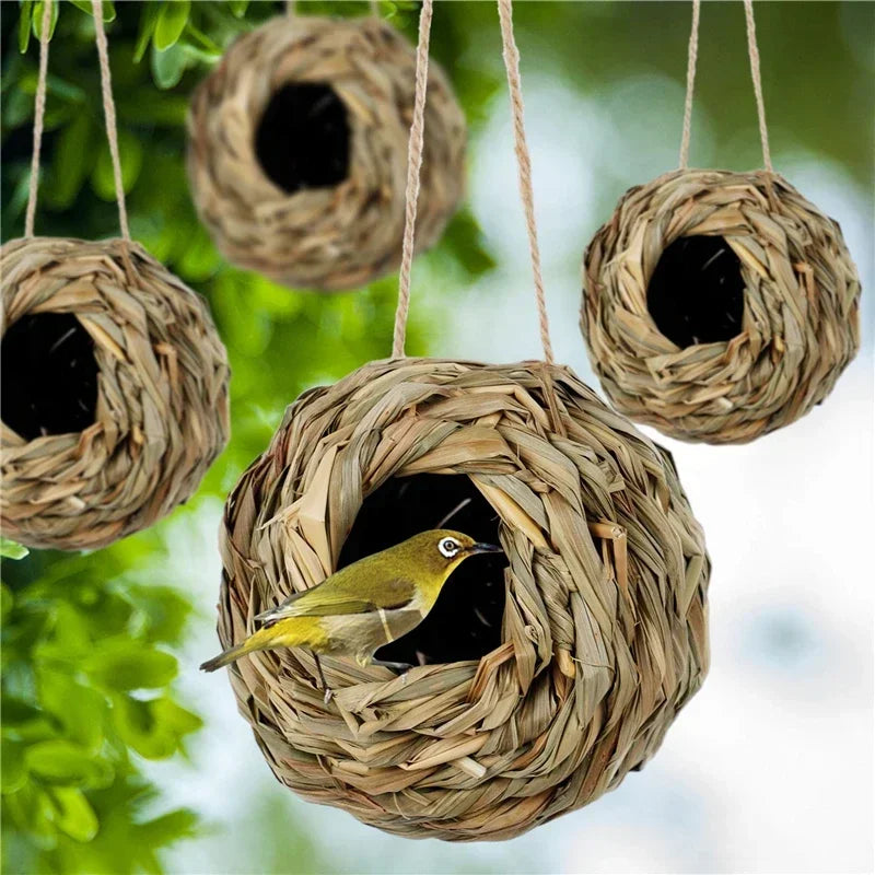 Egg Cage Bird House