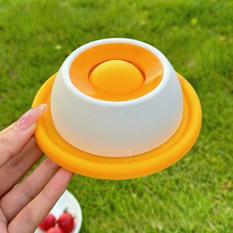 Cat Food Bowl
