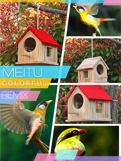 Outdoor Rainproof Bird Cages