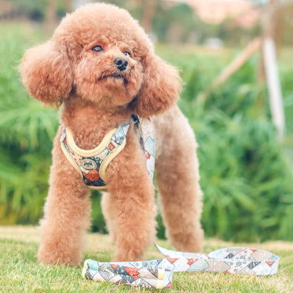 X-Shaped Harness and Leash Set