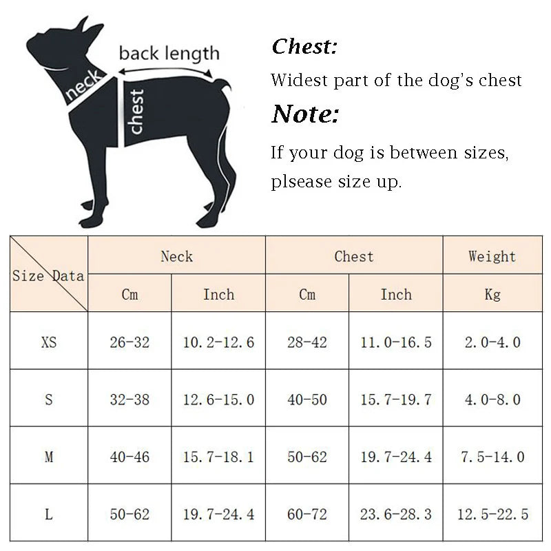 X-Shaped Harness and Leash Set