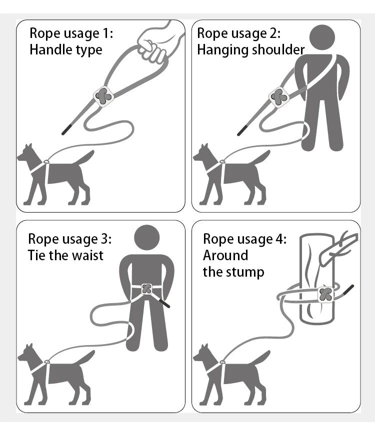 Dog Harness Leash Set