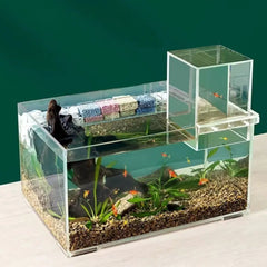 Landscaping Negative Pressure Fish Tank Unique Eye-catching Acrylic Suspended Fish Tank Easy to Install