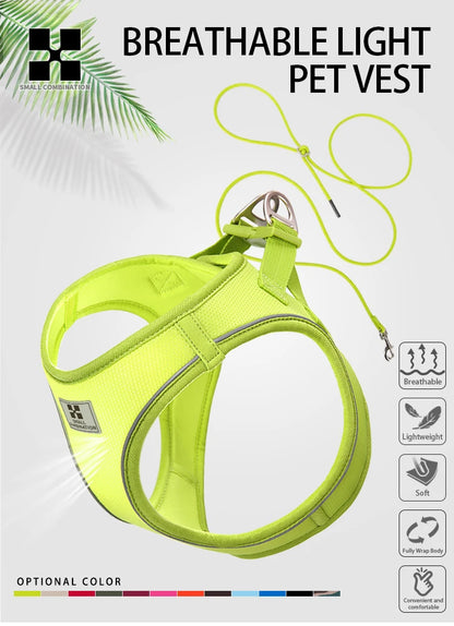 Dog Harness Leash Set