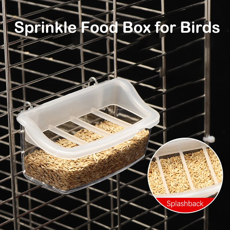 Parrot Feeder Drinker Bird