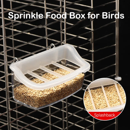 Parrot Feeder Drinker Bird