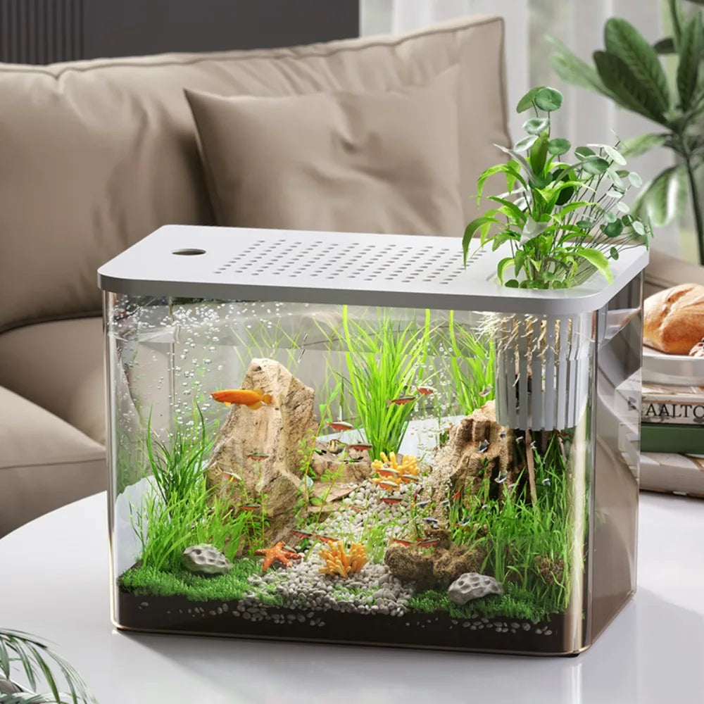 PET+ABS Fish Tank New Transparent with Lid