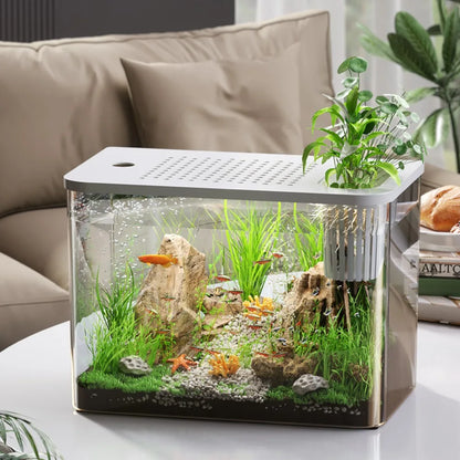 PET+ABS Fish Tank New Transparent with Lid