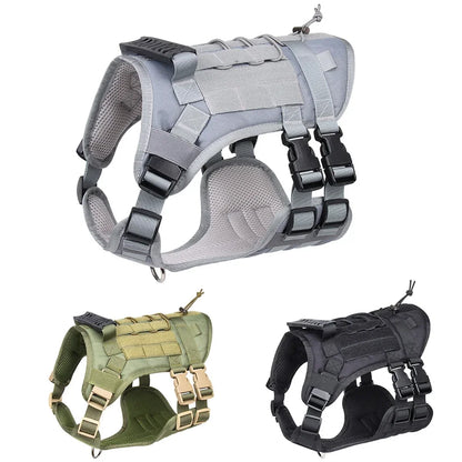 Harness And Collar For Medium Large Dogs