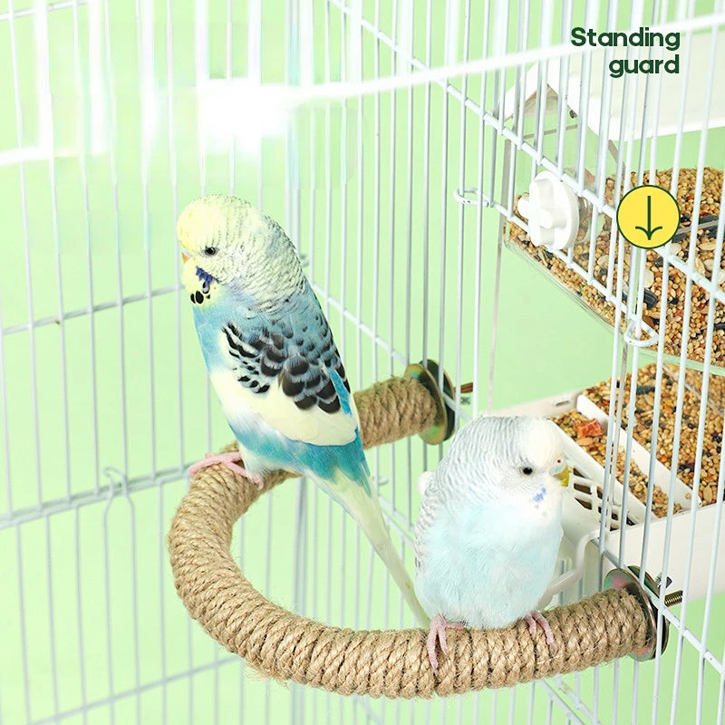 Bird Standing Rope
