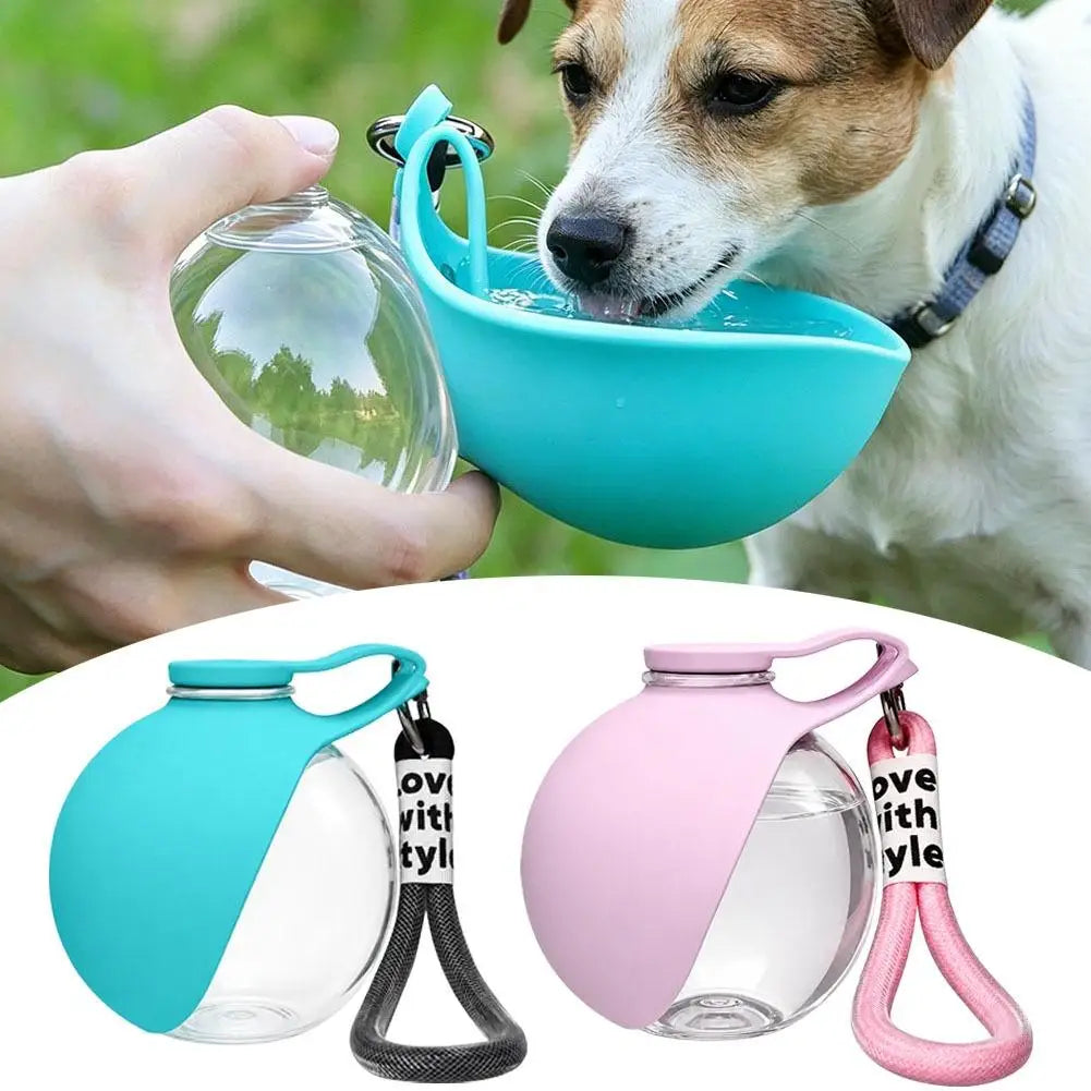 Pet Drinking Silicone Bowl