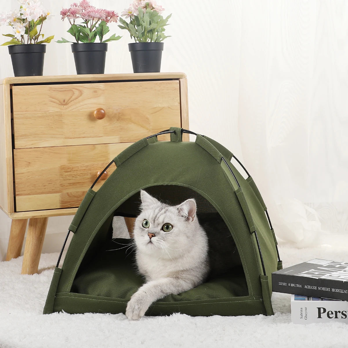 Tent Bed Cats