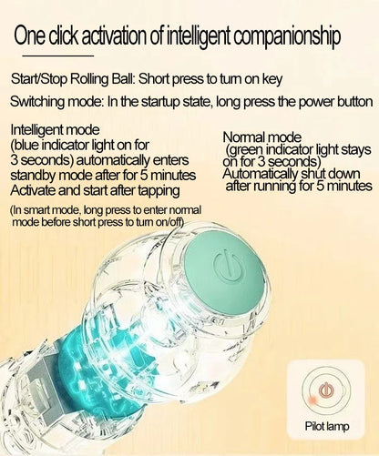 Automatic Indoor Cat Toy