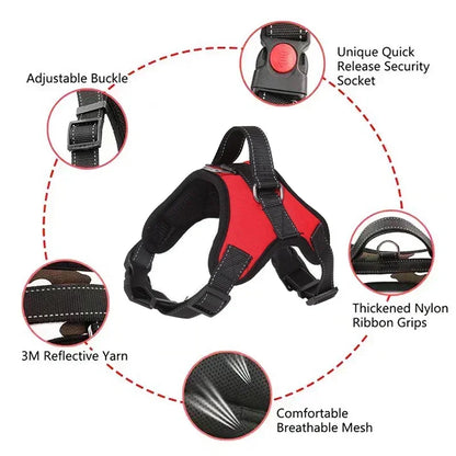 Large Dog Walk Out Harness