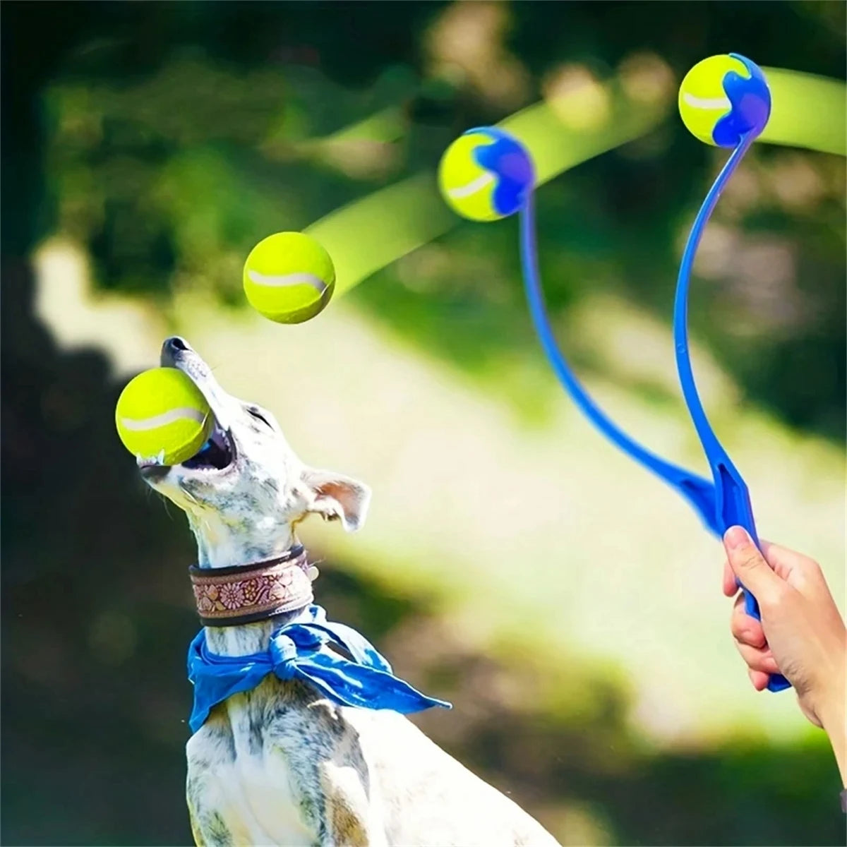 Tennis Ball Launcher Set