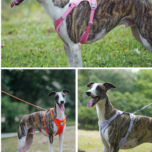 Dog Breathable Harness NO PULL