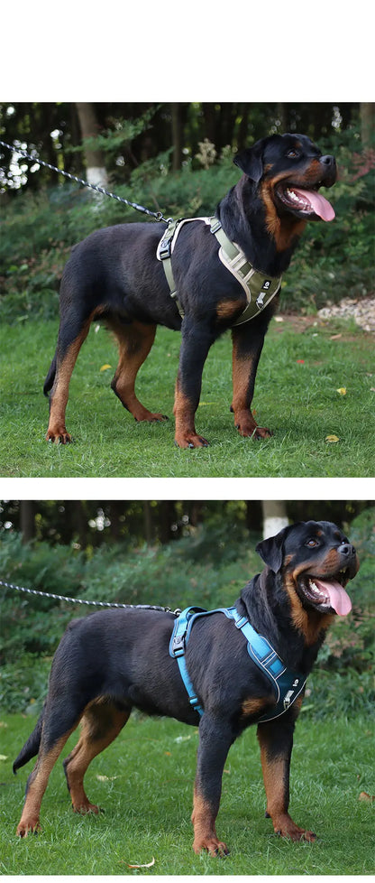 Medium Large Dog Harnesses Collar
