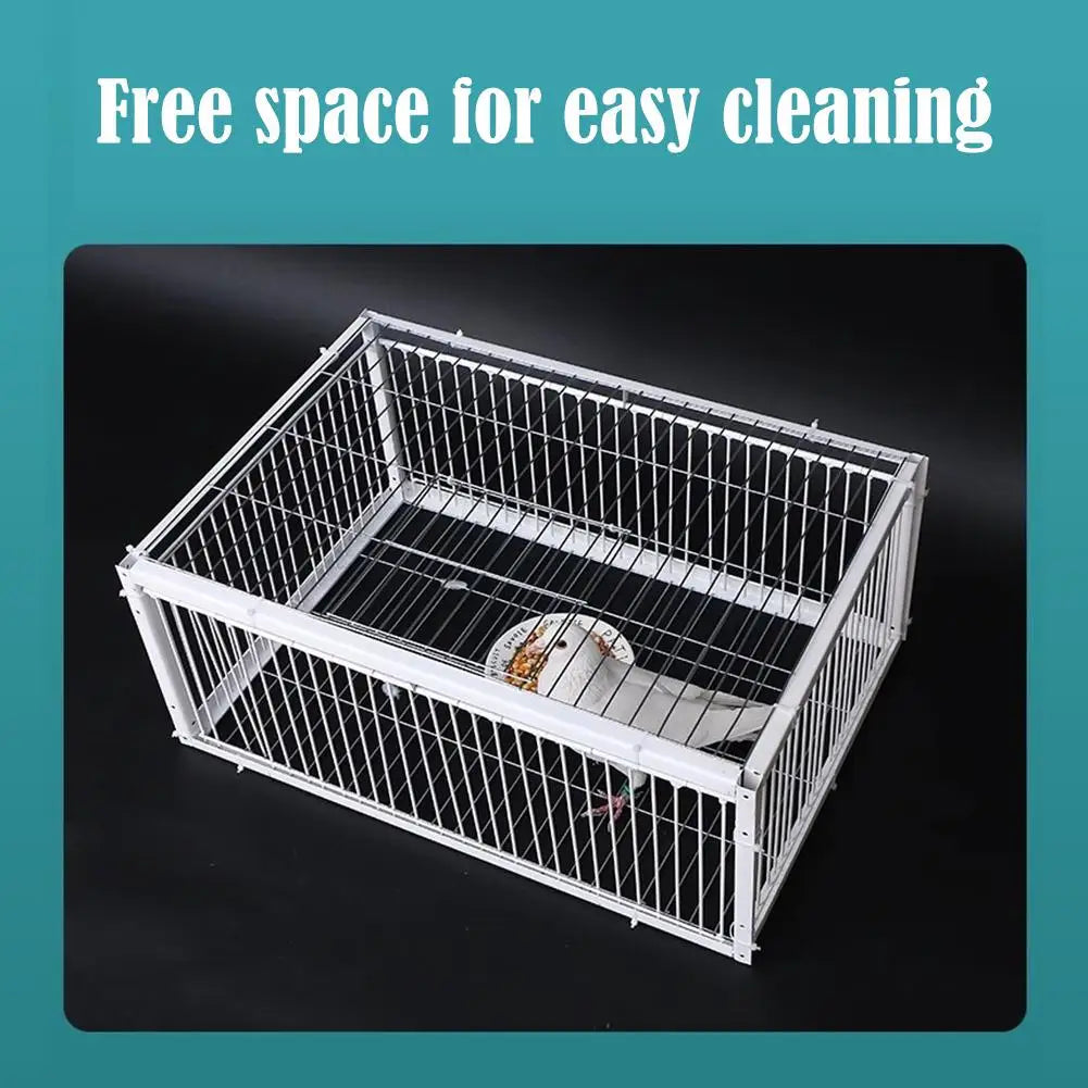 Auto Trap Bird Cage