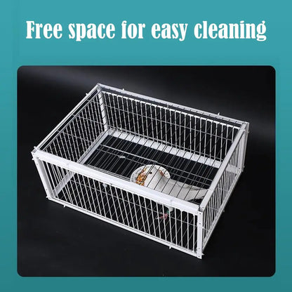 Auto Trap Bird Cage