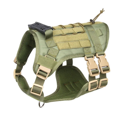 Harness And Collar For Medium Large Dogs