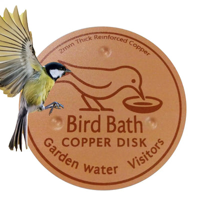 Bird Bath Copper Disk Water Fountain