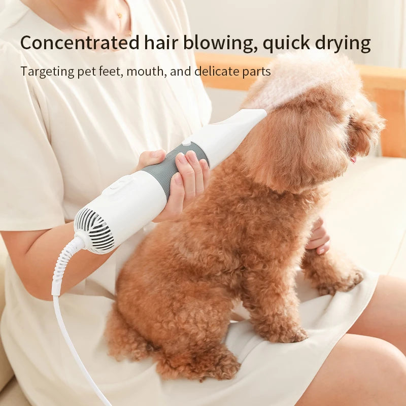 Quiet Dog Hair Dryers and Comb