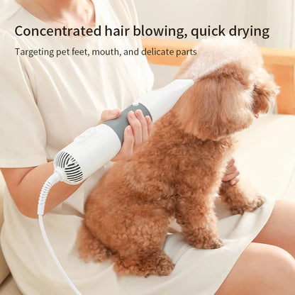 Quiet Dog Hair Dryers and Comb