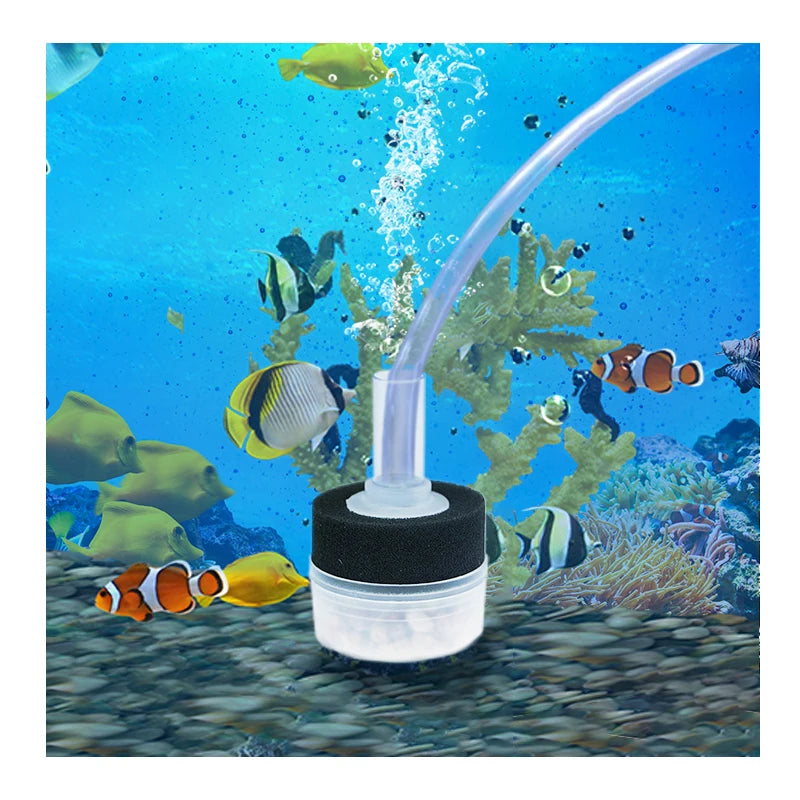 Small Aquarium Filter Fish Tank