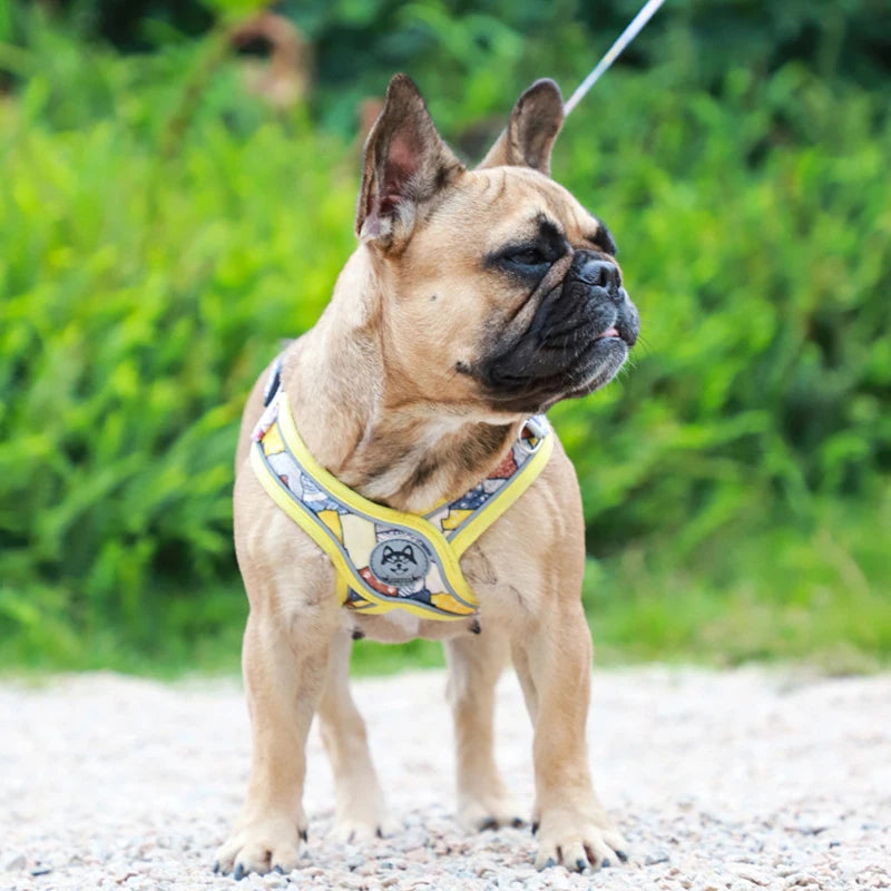 X-Shaped Harness and Leash Set