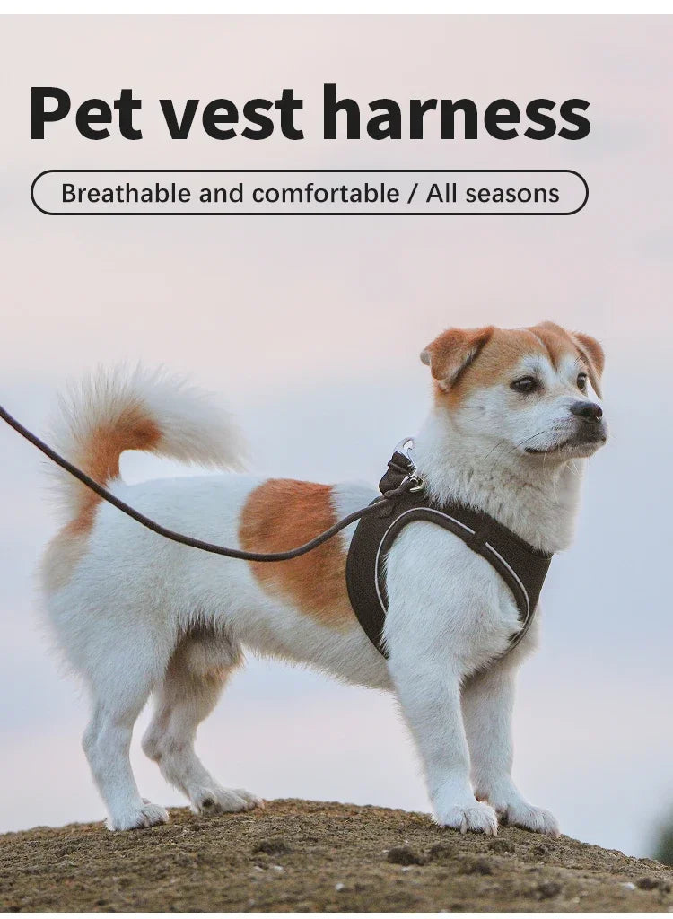 Dog Harness Leash Set