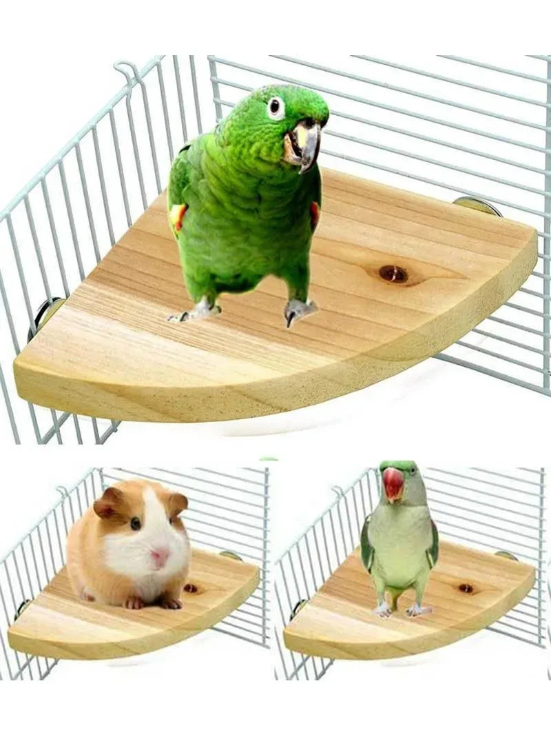 Parrot Bird Wood Perch Stand