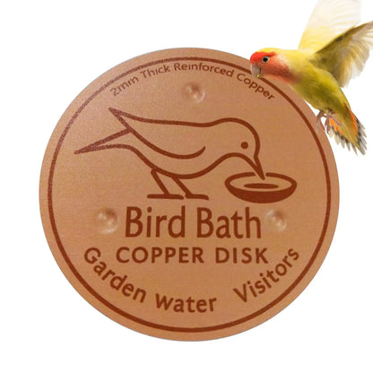 Bird Bath Copper Disk Water Fountain