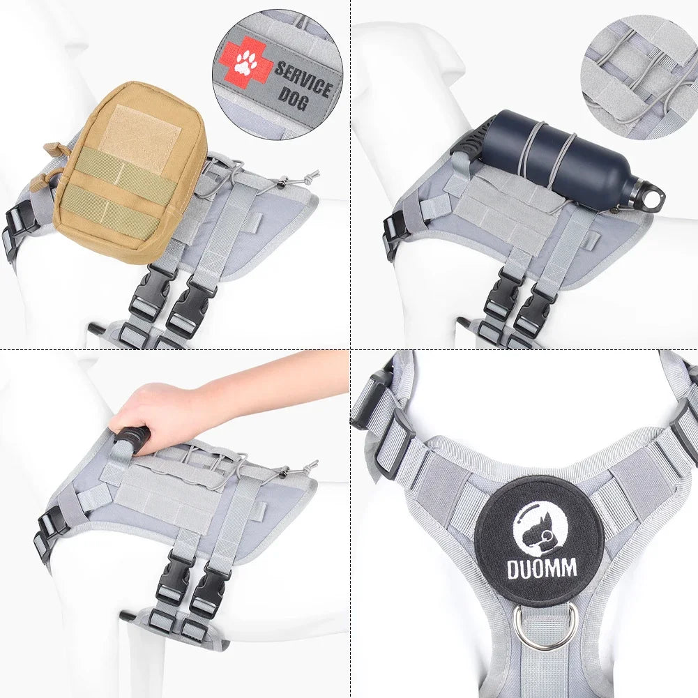 Harness And Collar For Medium Large Dogs