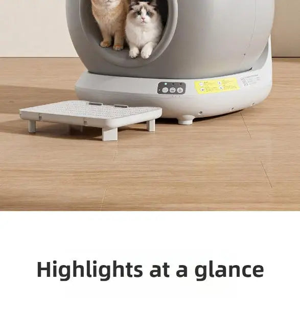 Self Cleaning Cat Litter Box