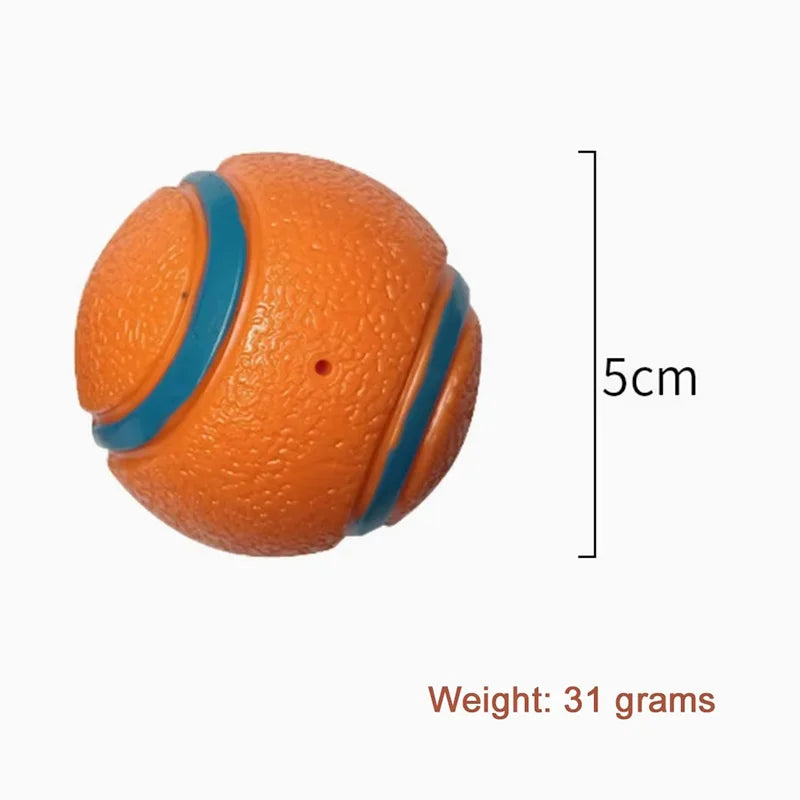 Durable Squeaky Chew Resistant Chasing Toy