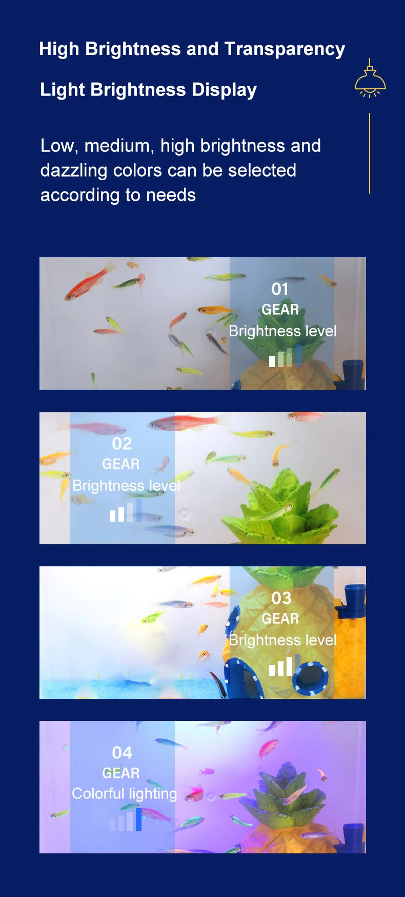 Mini Fish tank