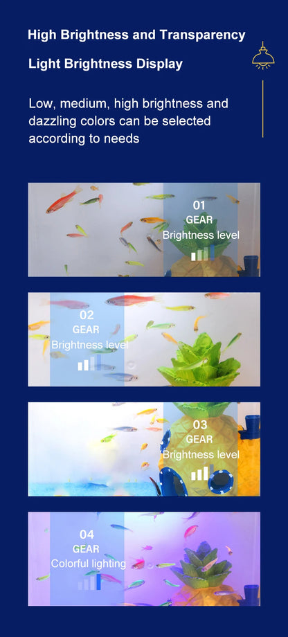 Mini Fish tank