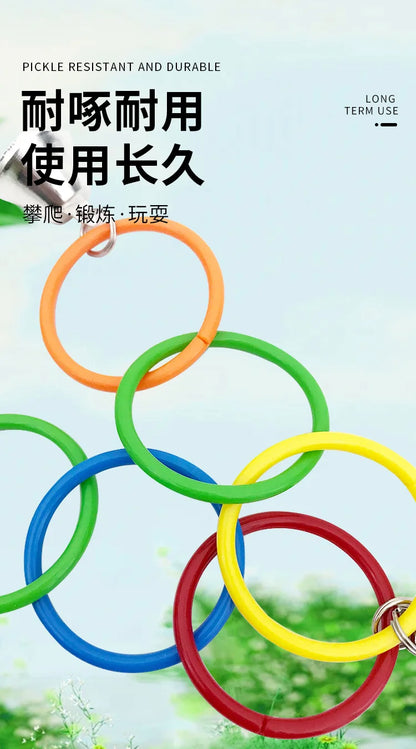 Colorful Ring Birds Use Gnawing Toy
