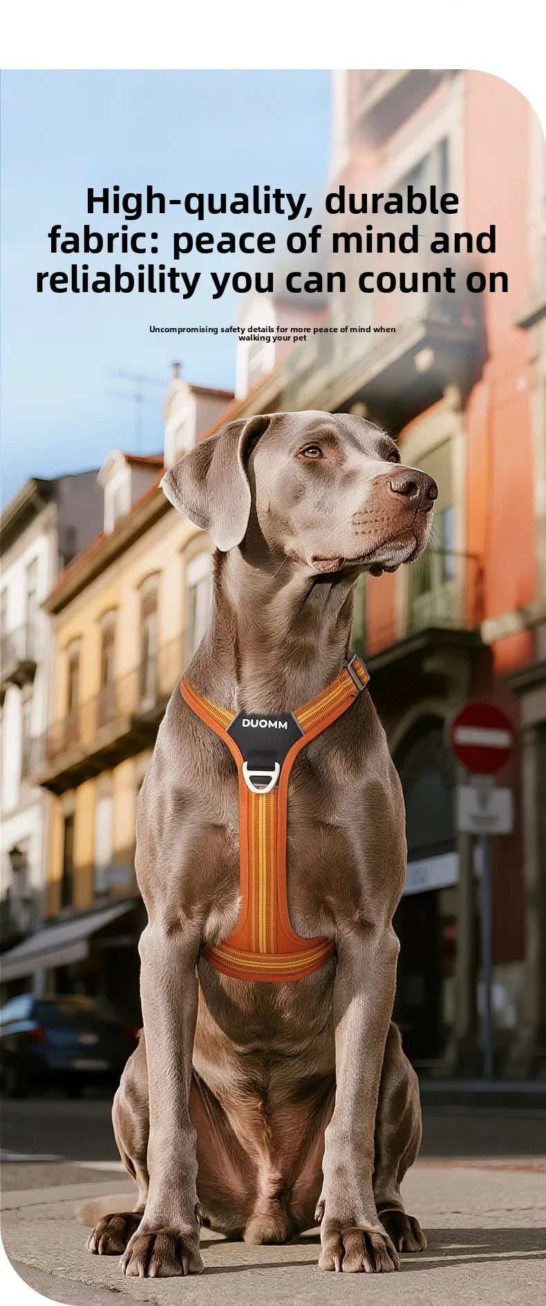 Dog Harness with Dual Handle
