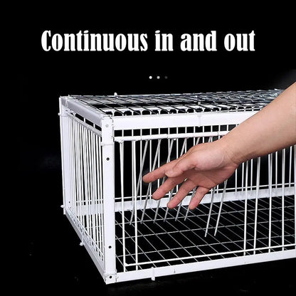 Auto Trap Bird Cage