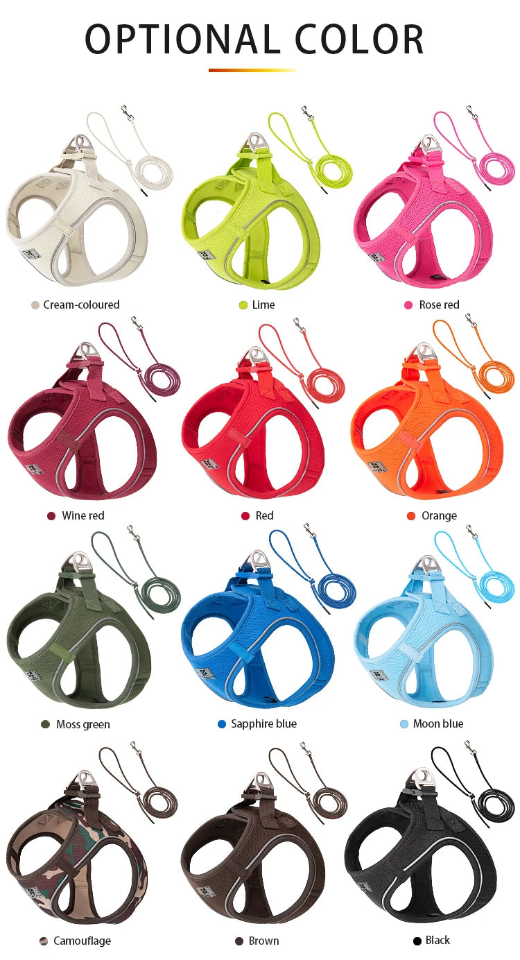 Dog Harness Leash Set