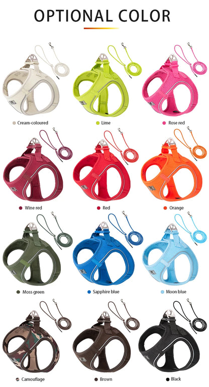 Dog Harness Leash Set
