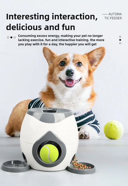 2 in 1 Dog Pet Interactive Toy