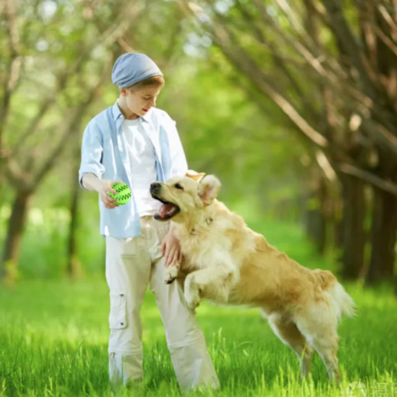 Interactive Dog Food Ball Rubber Chew Toy