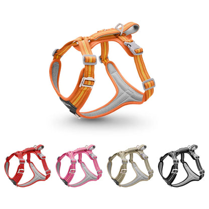 Dog Harness with Dual Handle