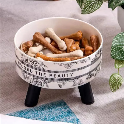 Stainless Steel Elevated Pet Bowls