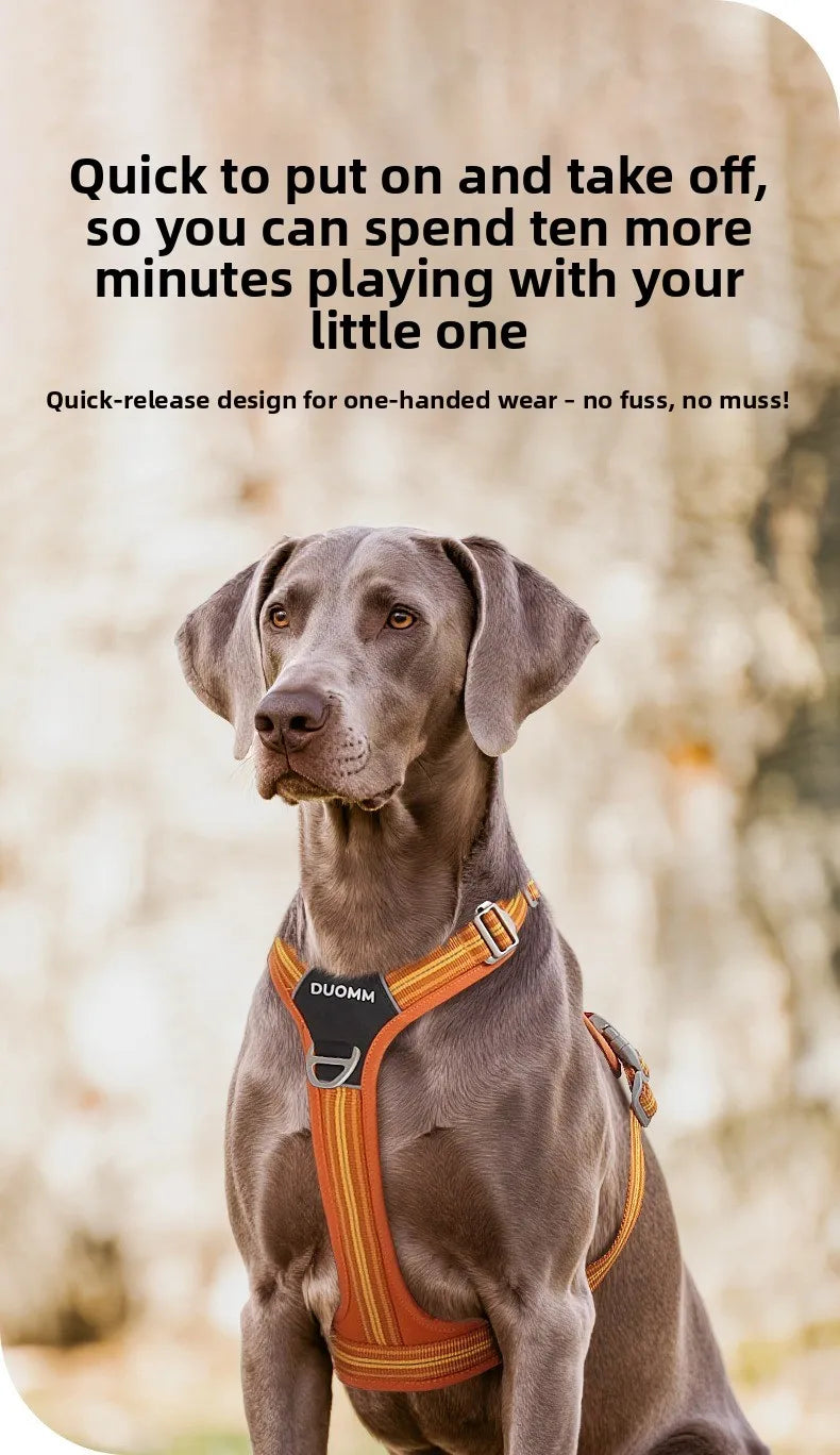 Dog Harness with Dual Handle