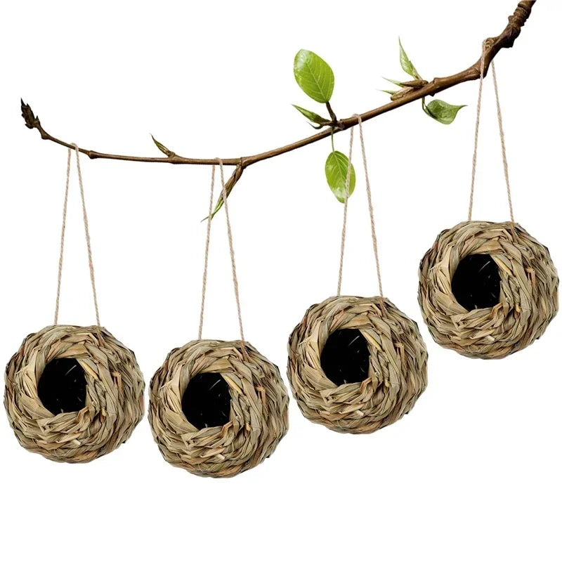 Egg Cage Bird House